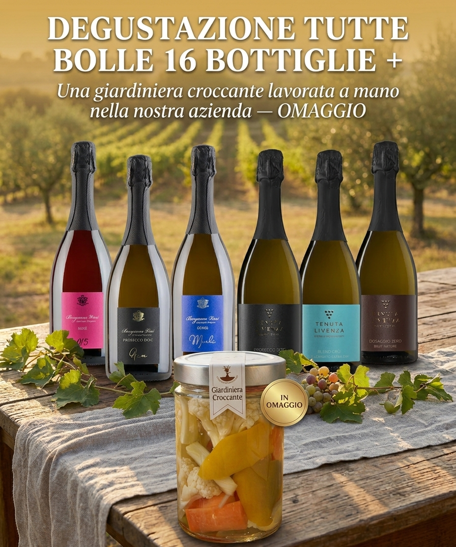 SELEZIONE TUTTE BOLLE 16 BOTTIGLIE bergamovini