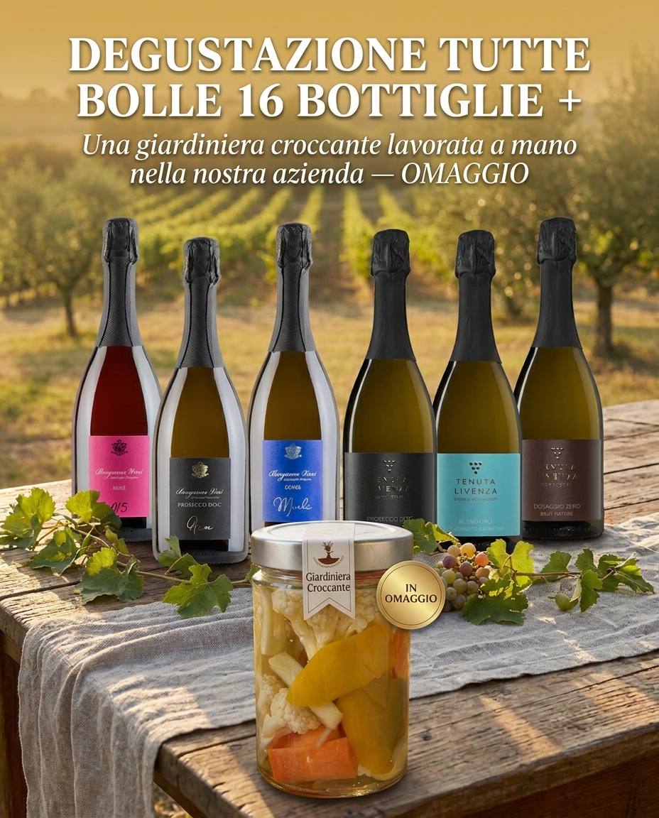 SELEZIONE TUTTE BOLLE 16 BOTTIGLIE bergamovini