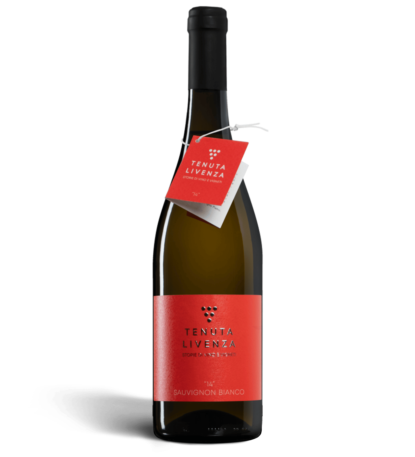 "14" SAUVIGNON BIANCO IGT VENETO - 750ml Tenuta LIVENZA