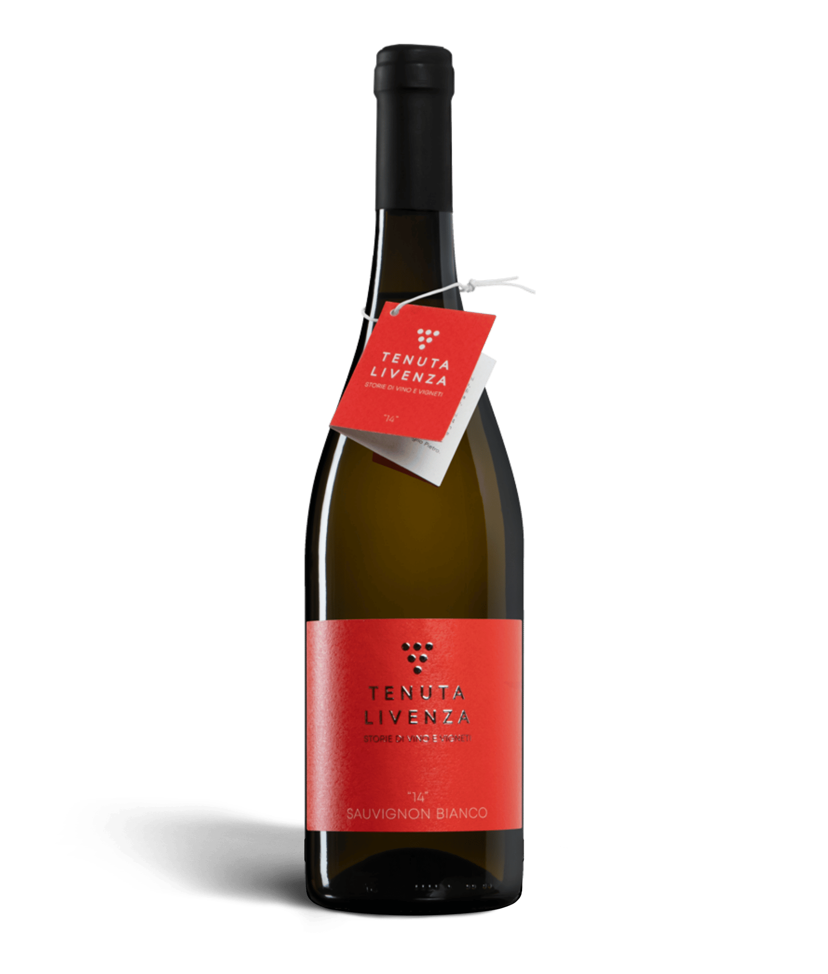 "14" SAUVIGNON BIANCO IGT VENETO - 750ml Tenuta LIVENZA