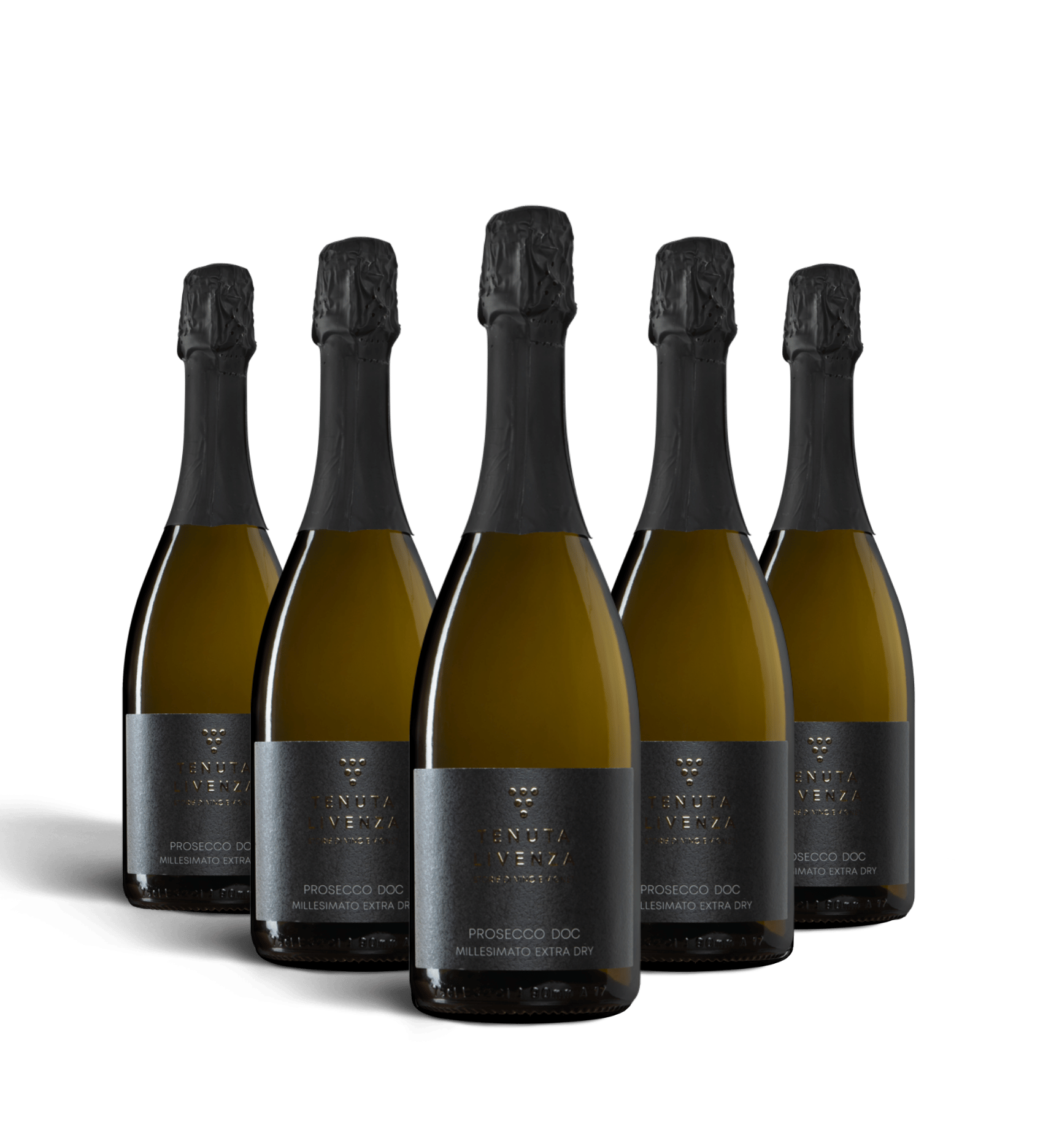 PROSECCO SPUMANTE  DOC TREVISO MILLESIMATO BRUT 2023 - 6 BOTTIGLIE bergamovini