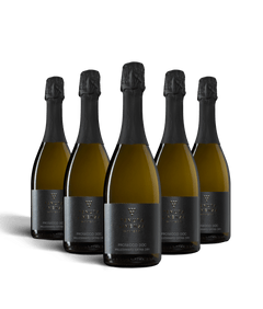 PROSECCO SPUMANTE  DOC TREVISO MILLESIMATO BRUT 2023 - 6 BOTTIGLIE bergamovini