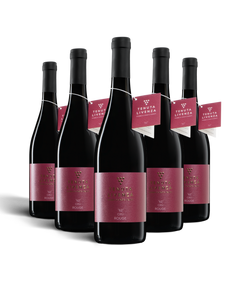 "62" CRU' ROUGE ROSSO IGT VENETO - 6 BOTTIGLIE bergamovini