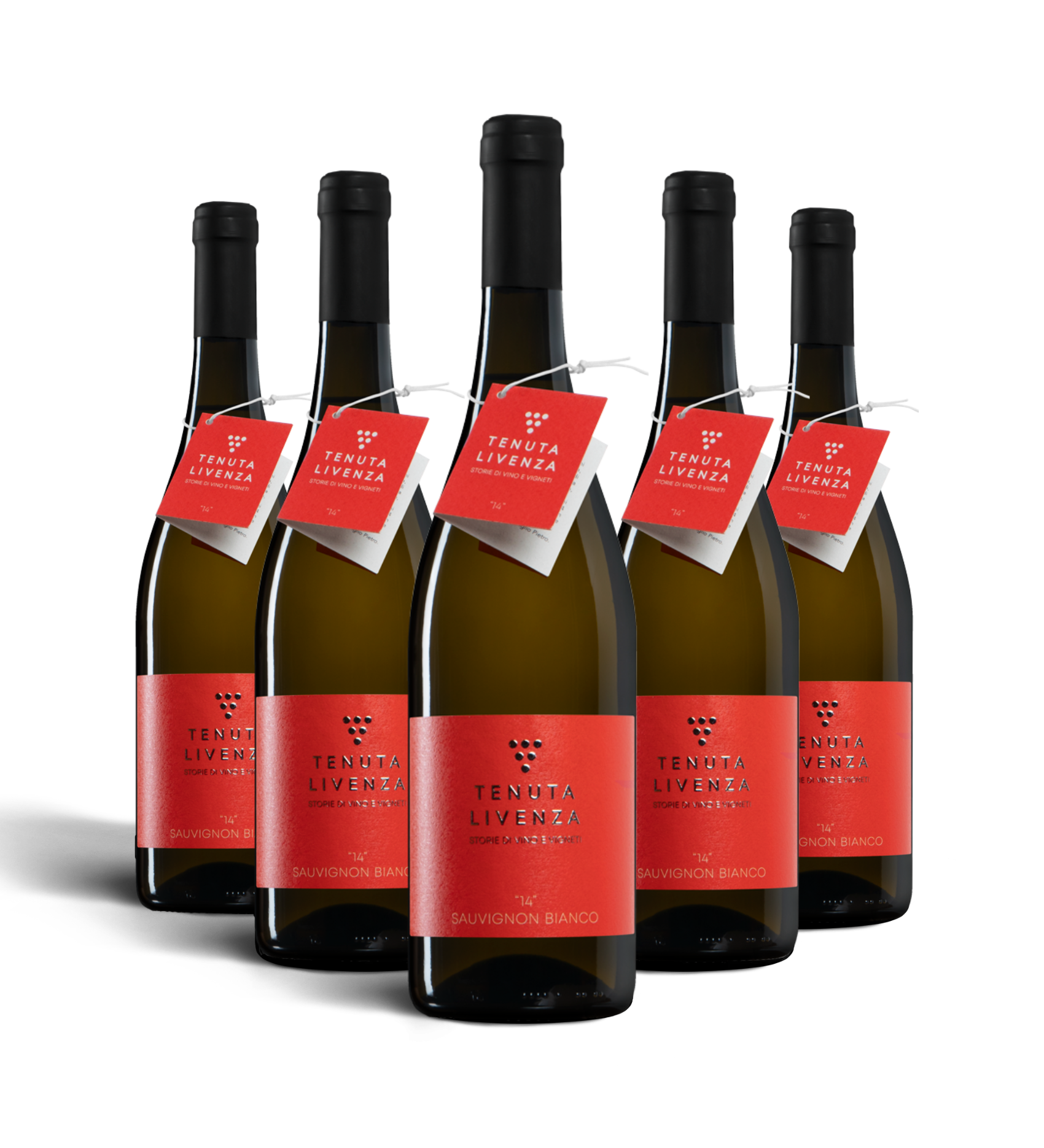 "14" SAUVIGNON BIANCO IGT VENETO - 6 BOTTIGLIE bergamovini