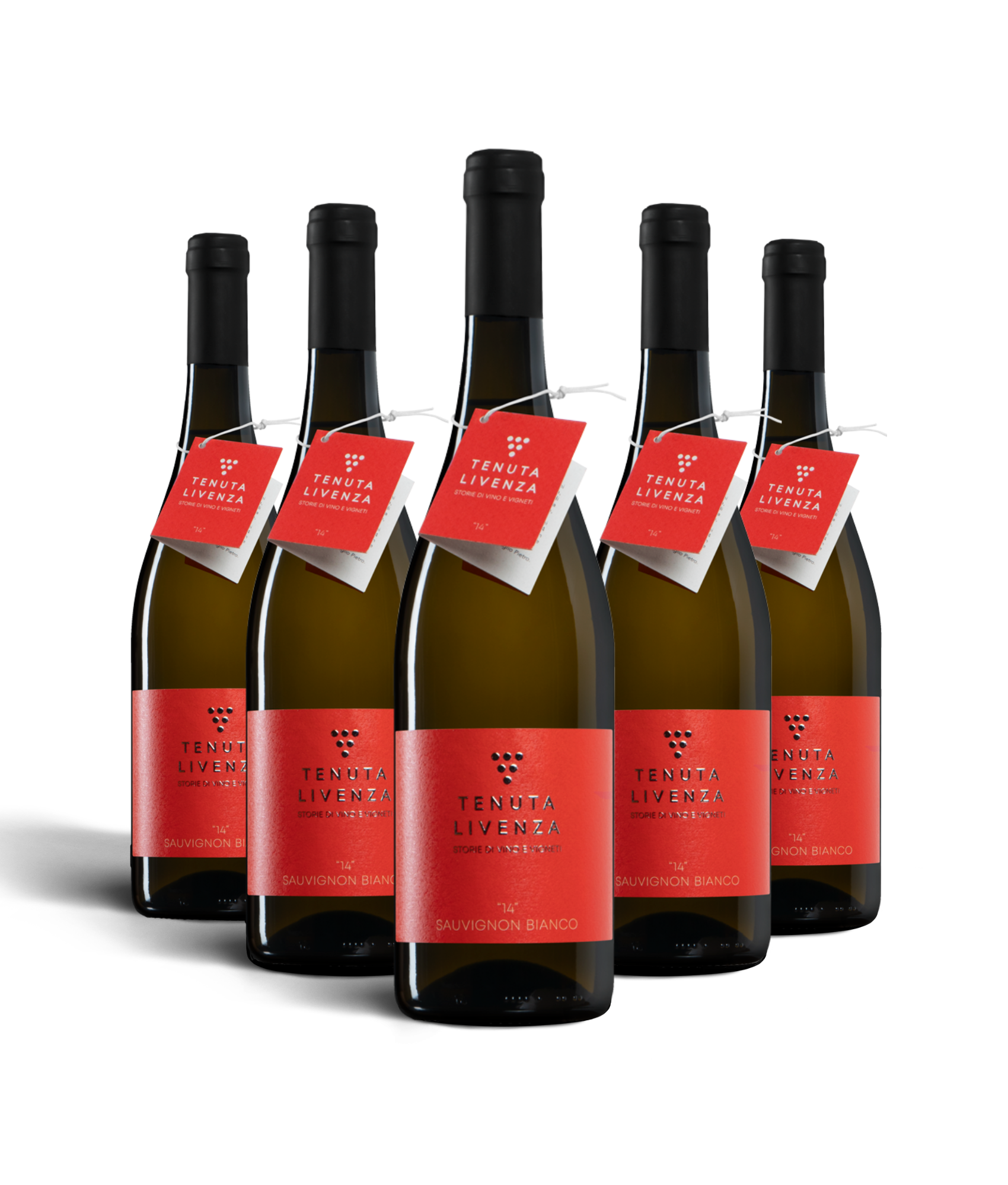 "14" SAUVIGNON BIANCO IGT VENETO - 6 BOTTIGLIE bergamovini