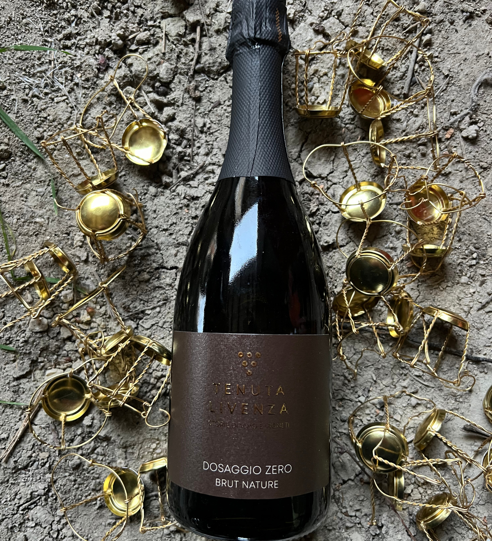 Degustazione Amanti delle Bollicine bergamovini