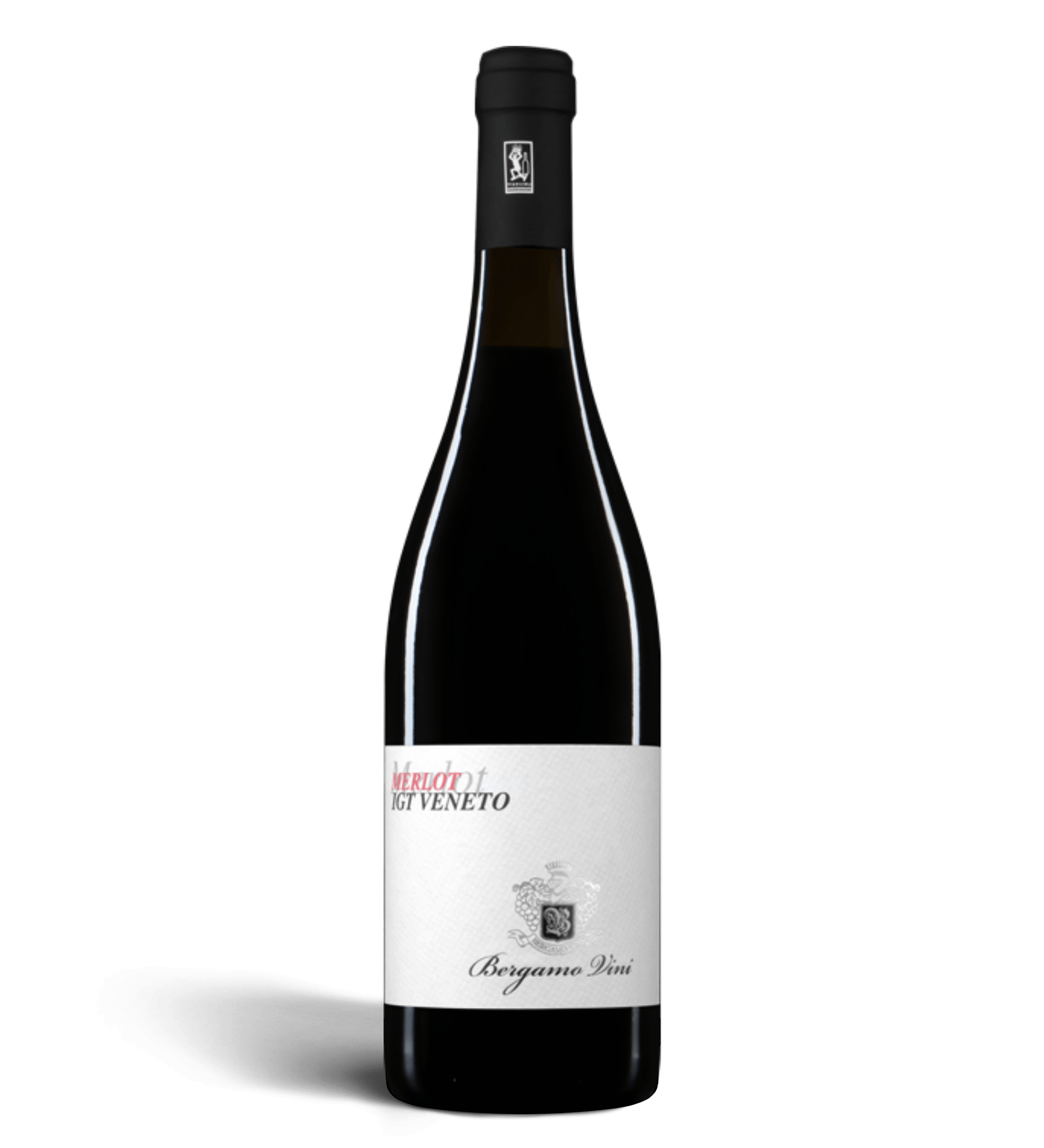 🎁 Merlot  IGT VENETO - 750 ML (100% off) bergamovini