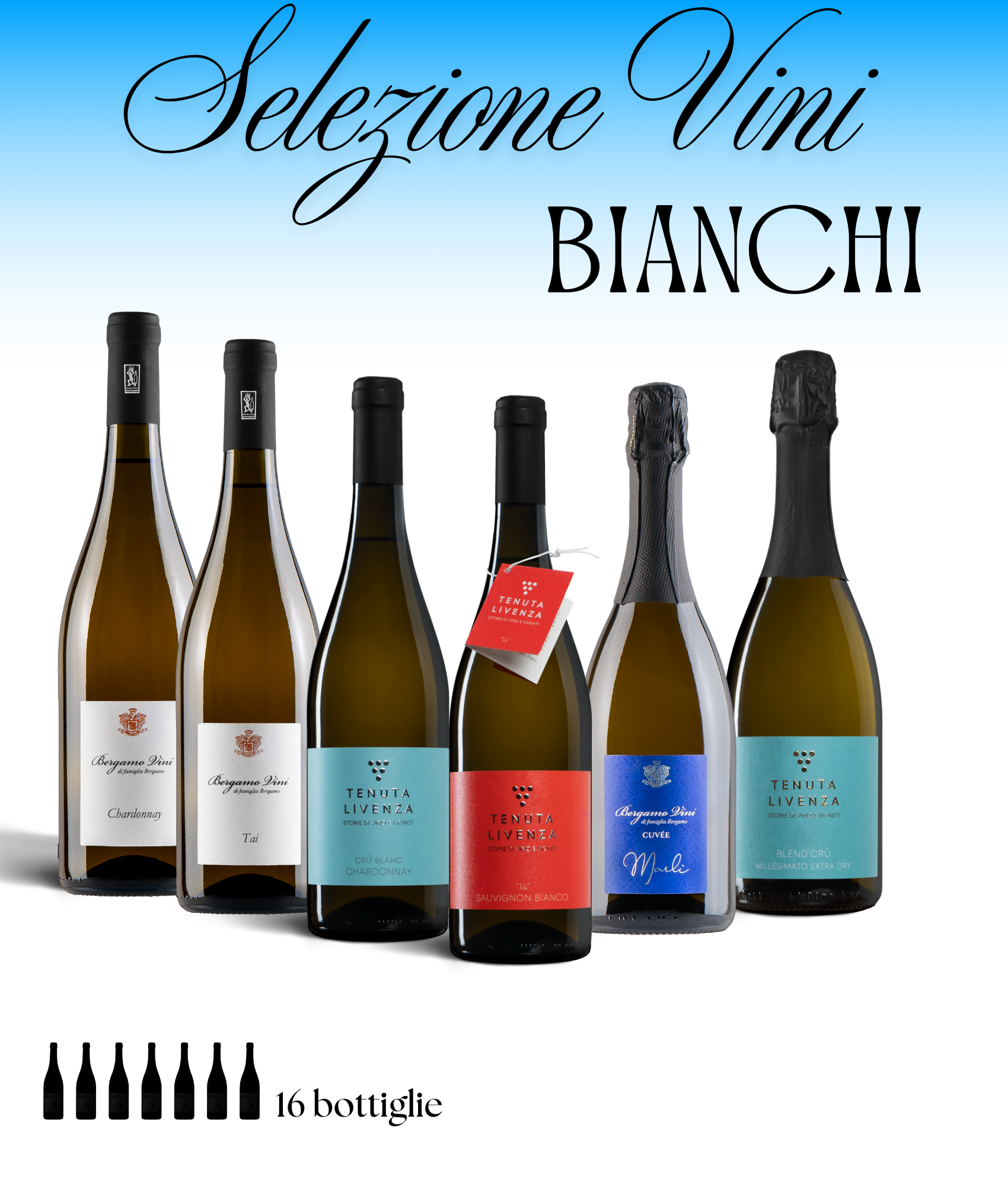 BOX VINI BIANCHI bergamovini