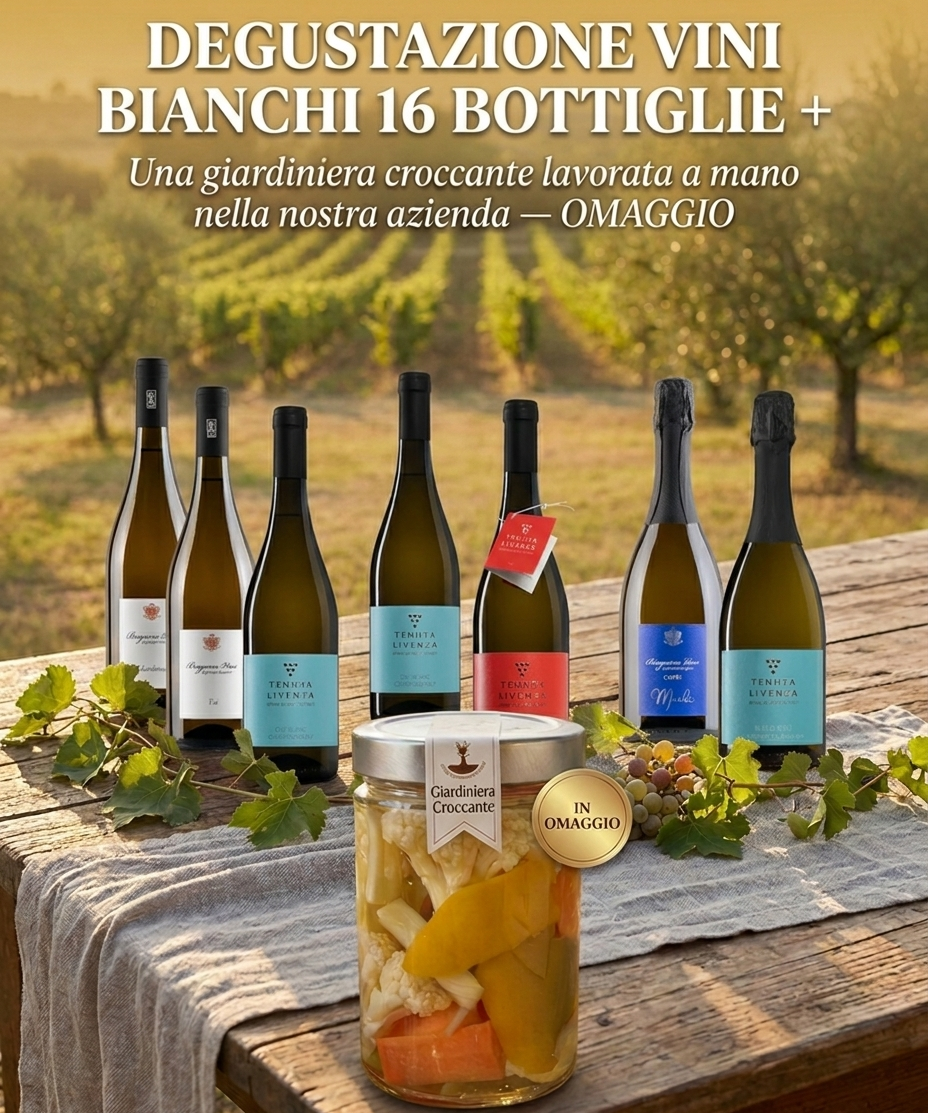 SELEZIONE VINI BIANCHI 16 BOTTIGLIE bergamovini
