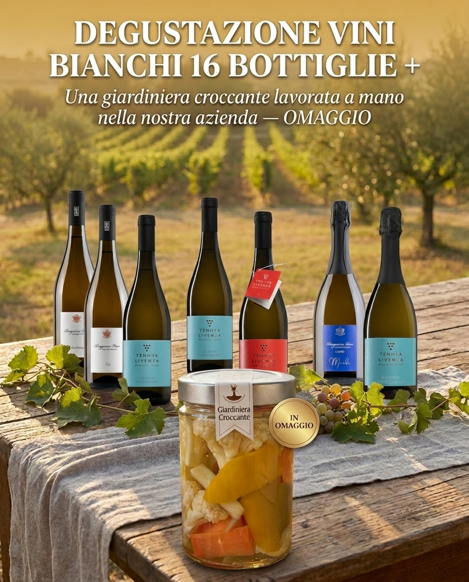 SELEZIONE VINI BIANCHI 16 BOTTIGLIE bergamovini