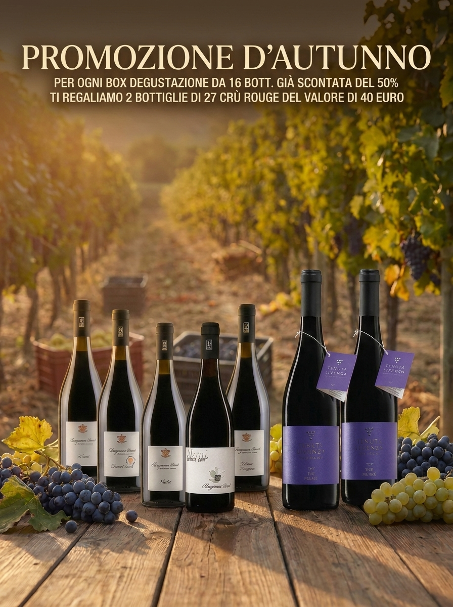 PROMOZIONE D'AUTUNNO