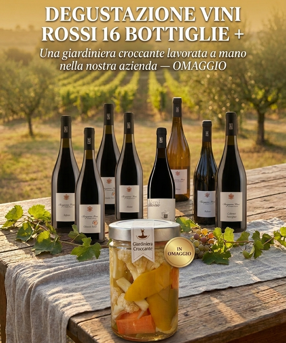 SELEZIONE VINI ROSSI 16 BOTTIGLIE bergamovini