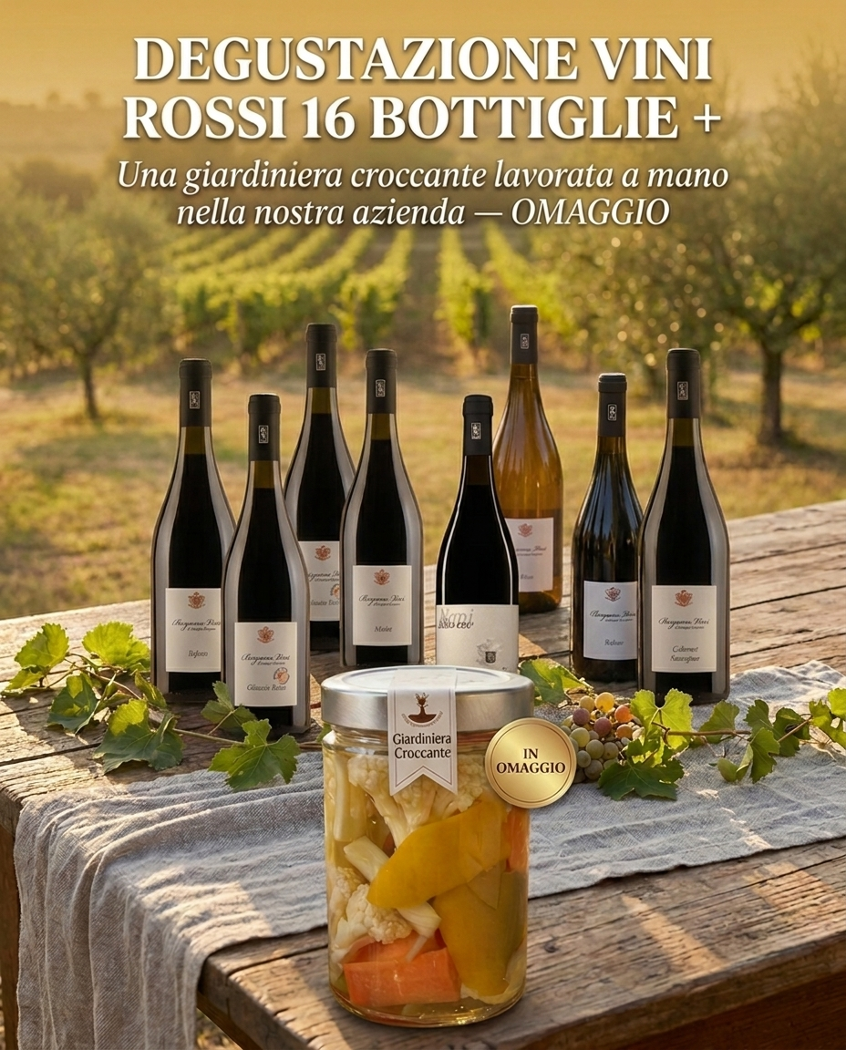 SELEZIONE VINI ROSSI 16 BOTTIGLIE bergamovini