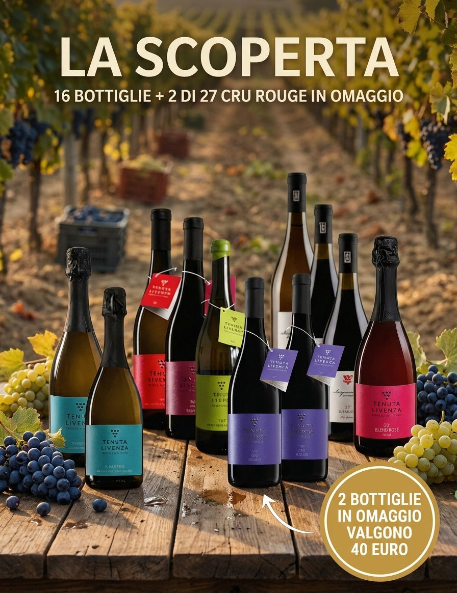 "LA SCOPERTA" DA 16 BOTTIGLIE bergamovini
