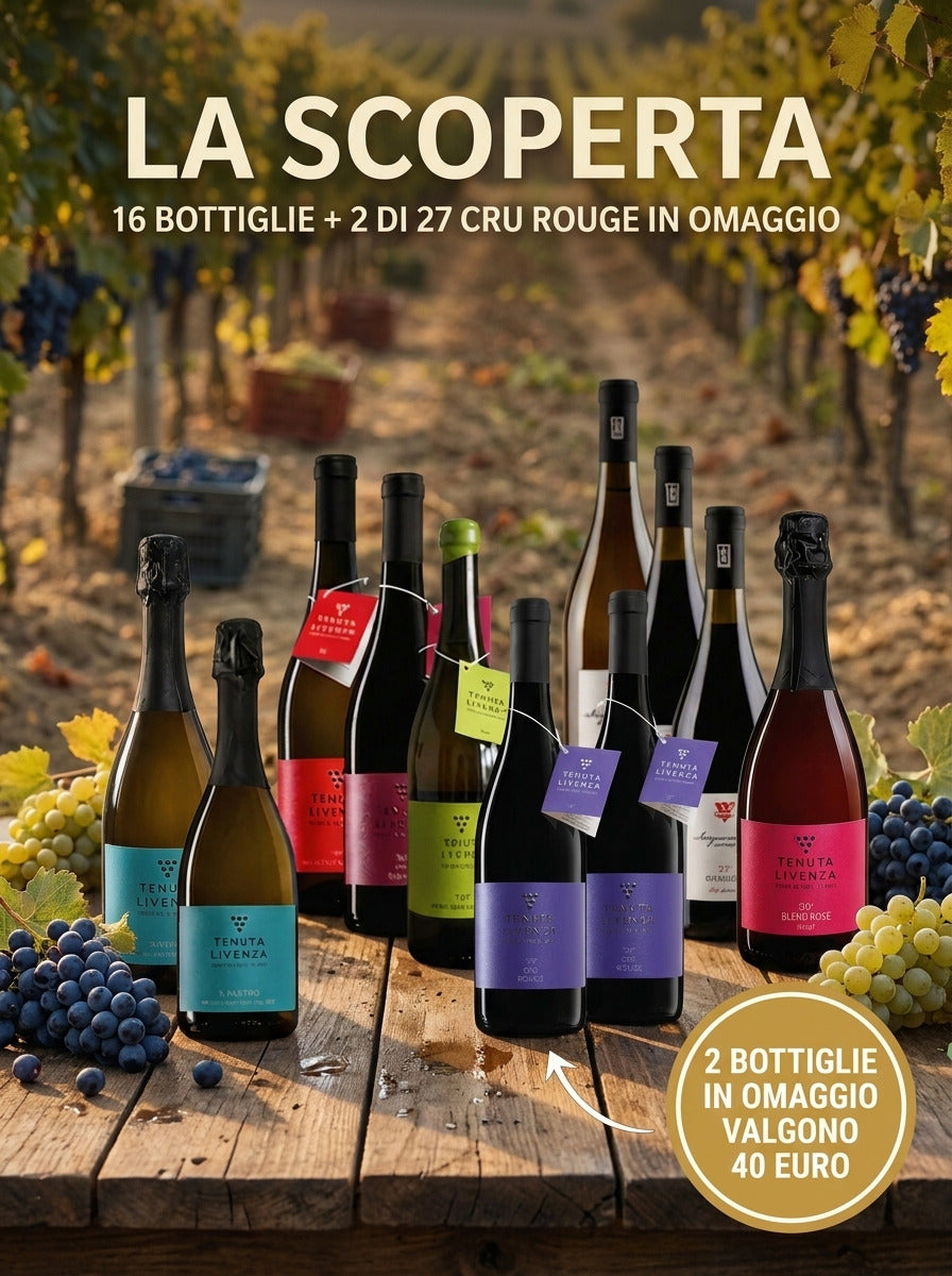 "LA SCOPERTA" DA 16 BOTTIGLIE bergamovini