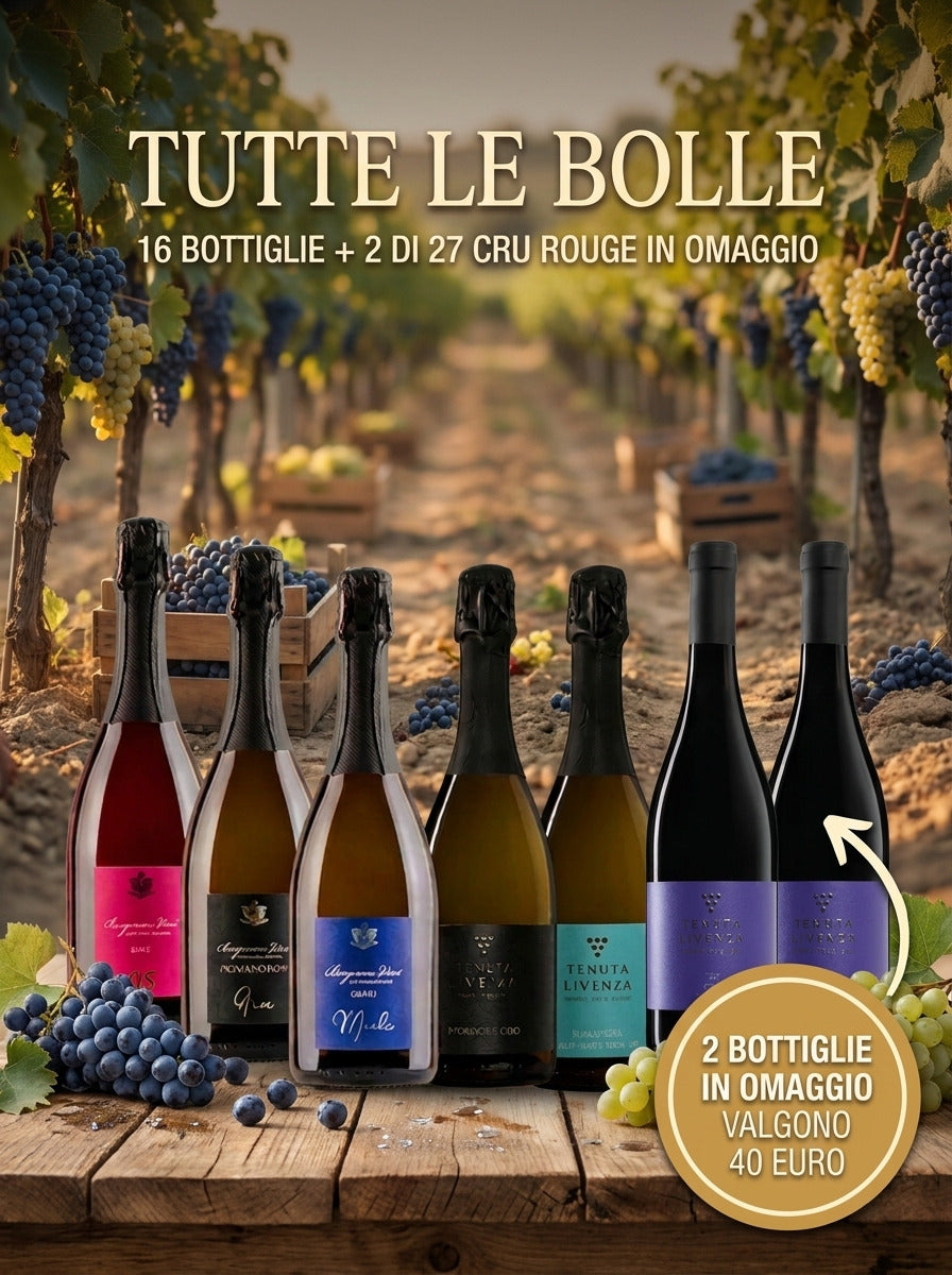 "TUTTE BOLLE" DA 16 BOTTIGLIE bergamovini
