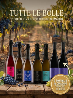 "TUTTE BOLLE" DA 16 BOTTIGLIE bergamovini