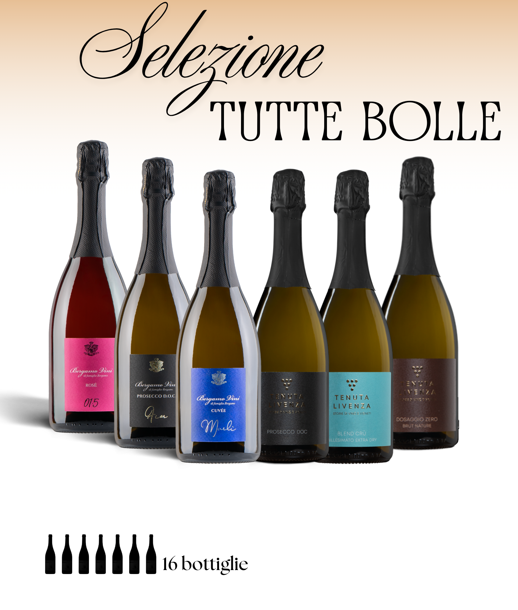 Selezione Tutte le Bolle – Selezione da 18 Bottiglie bergamovini