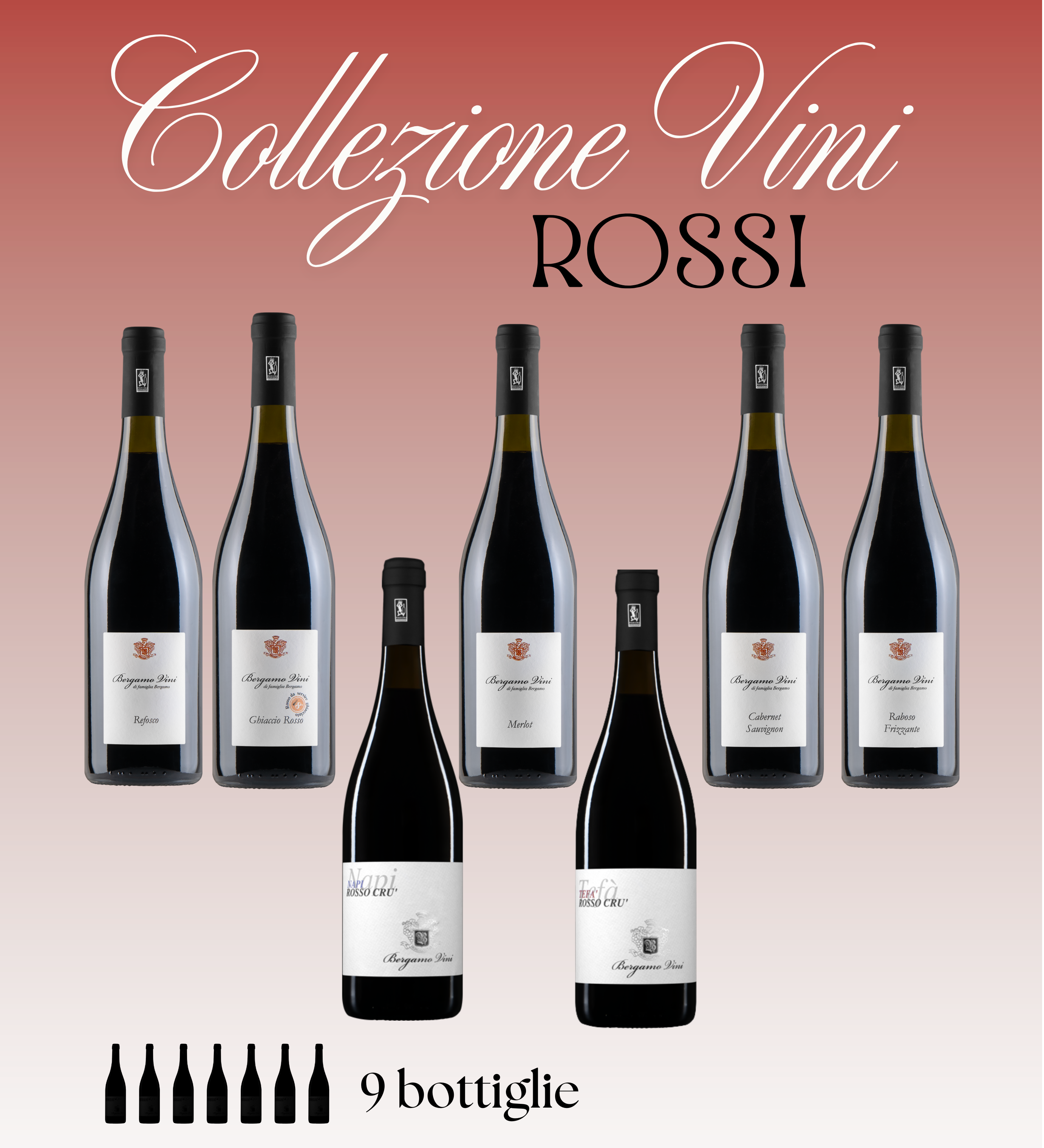 COLLEZIONE VINI ROSSI 9 BOTTIGLIE bergamovini
