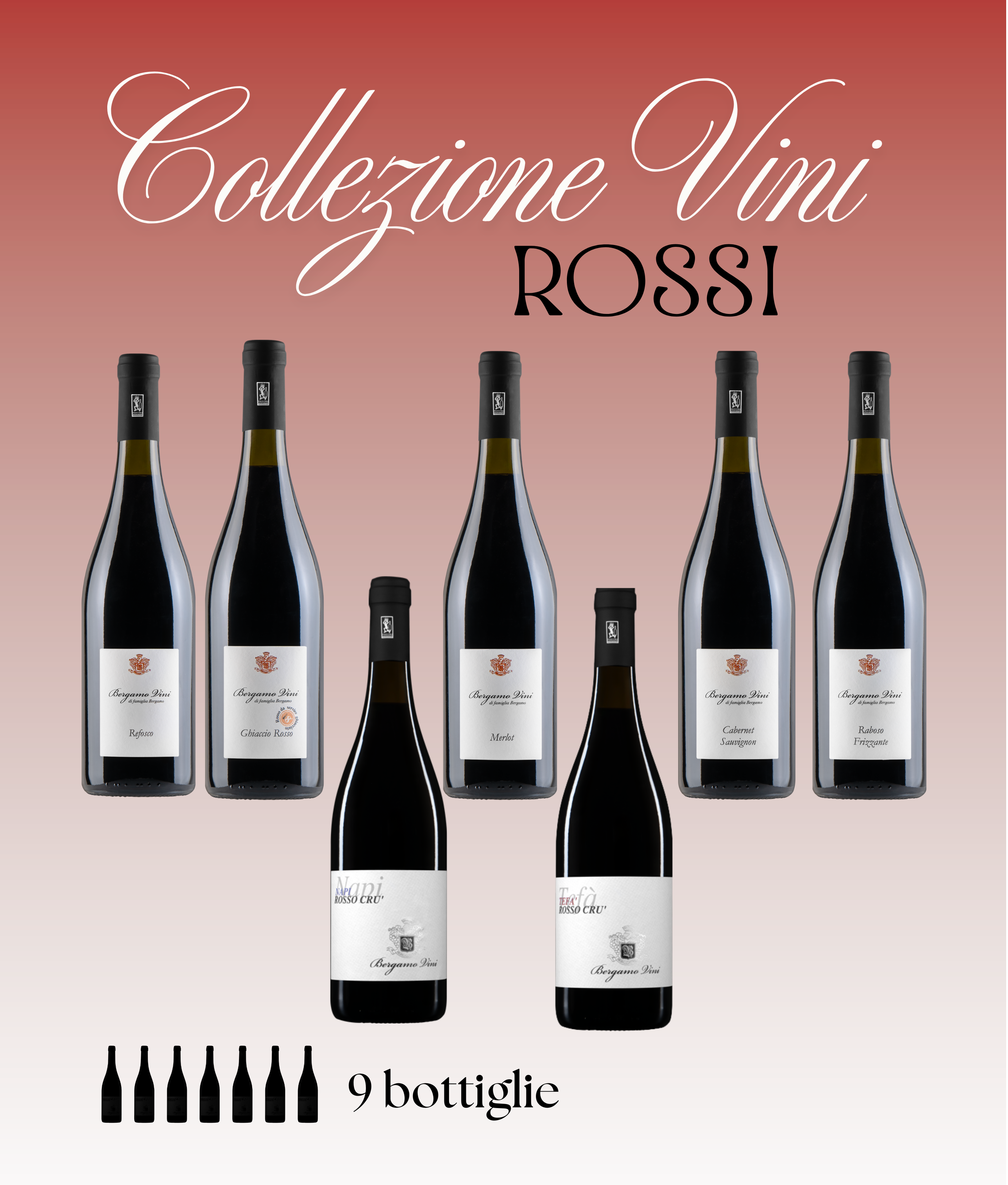 COLLEZIONE VINI ROSSI 9 BOTTIGLIE bergamovini