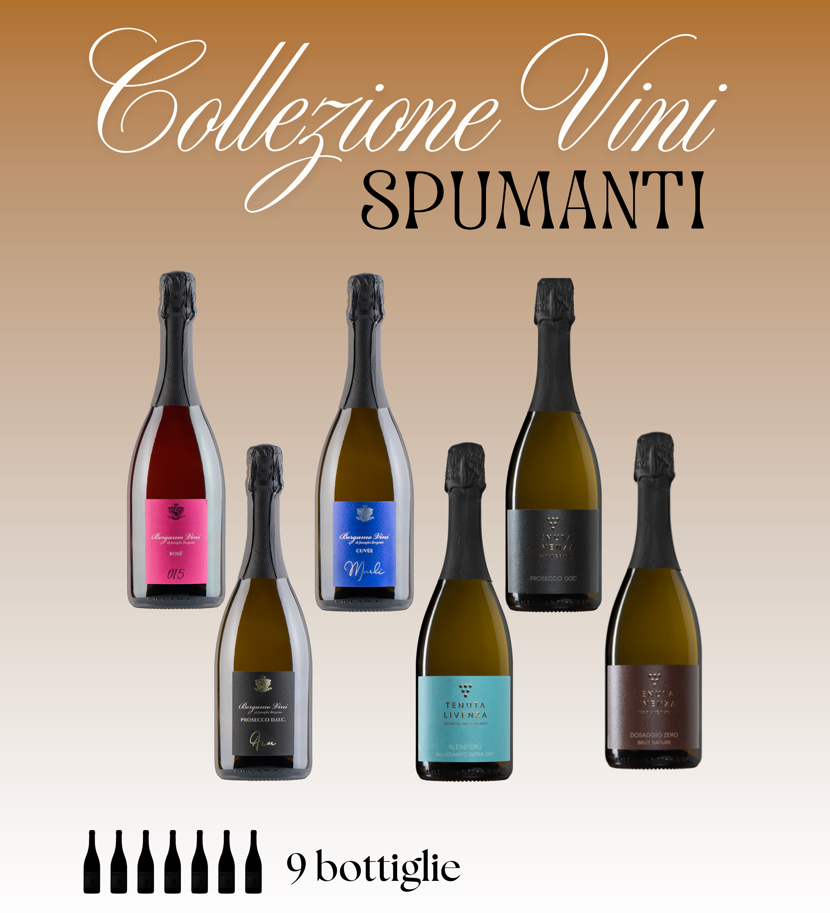 COLLEZIONE VINI SPUMANTI DA 9 BOTTIGLIE bergamovini