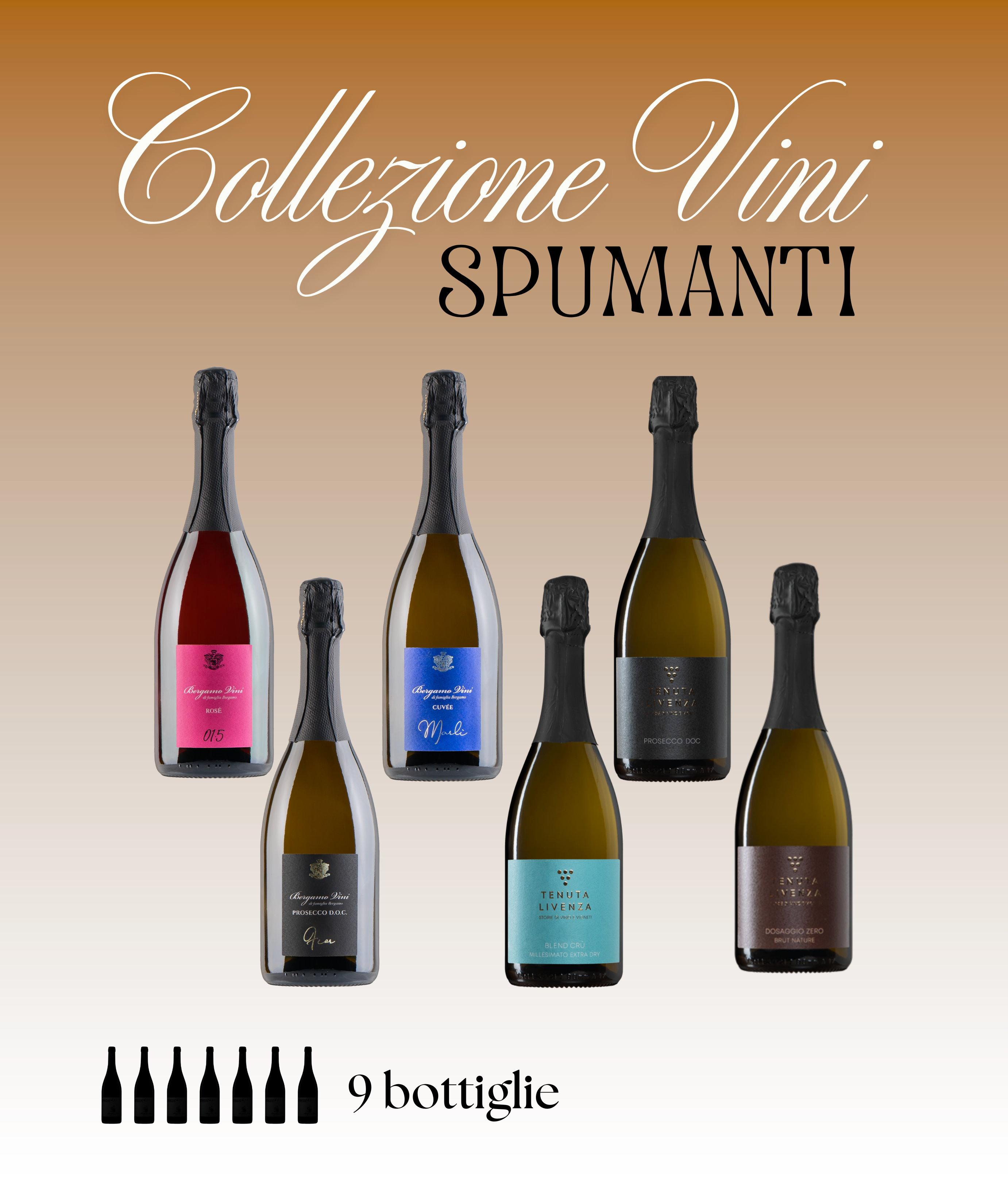 COLLEZIONE VINI SPUMANTI DA 9 BOTTIGLIE bergamovini