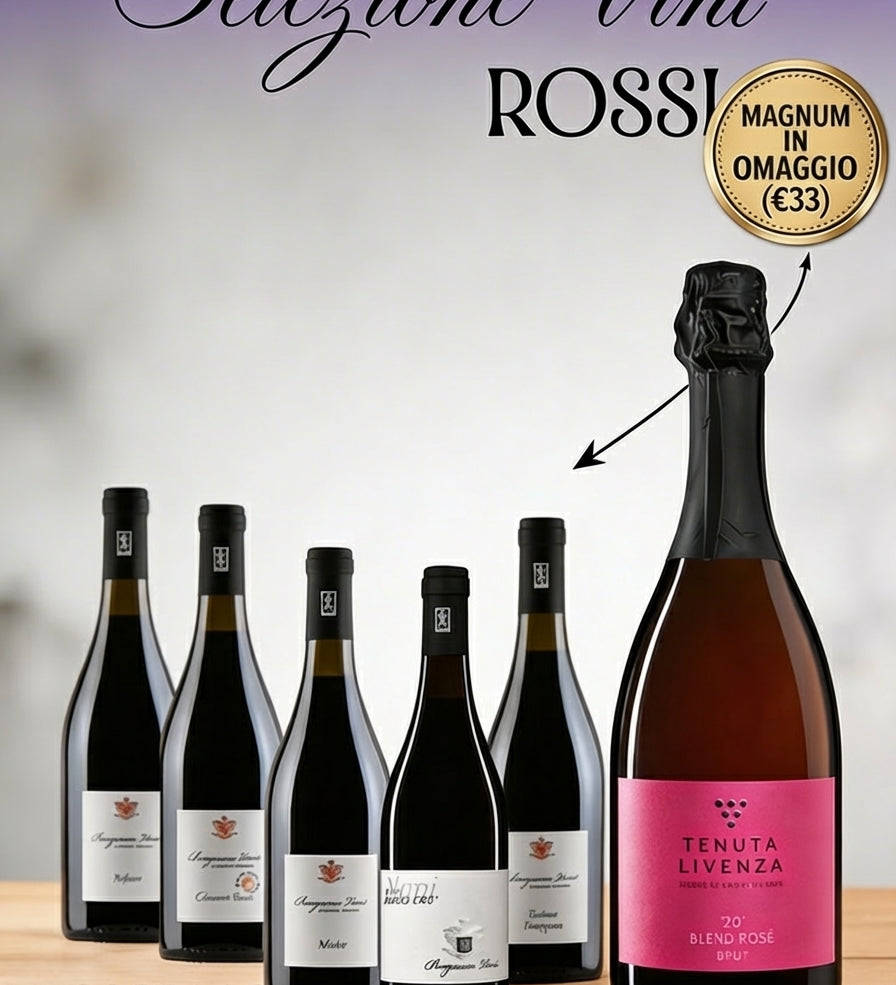 SELEZIONE VINI ROSSI 16 BOTTIGLIE bergamovini