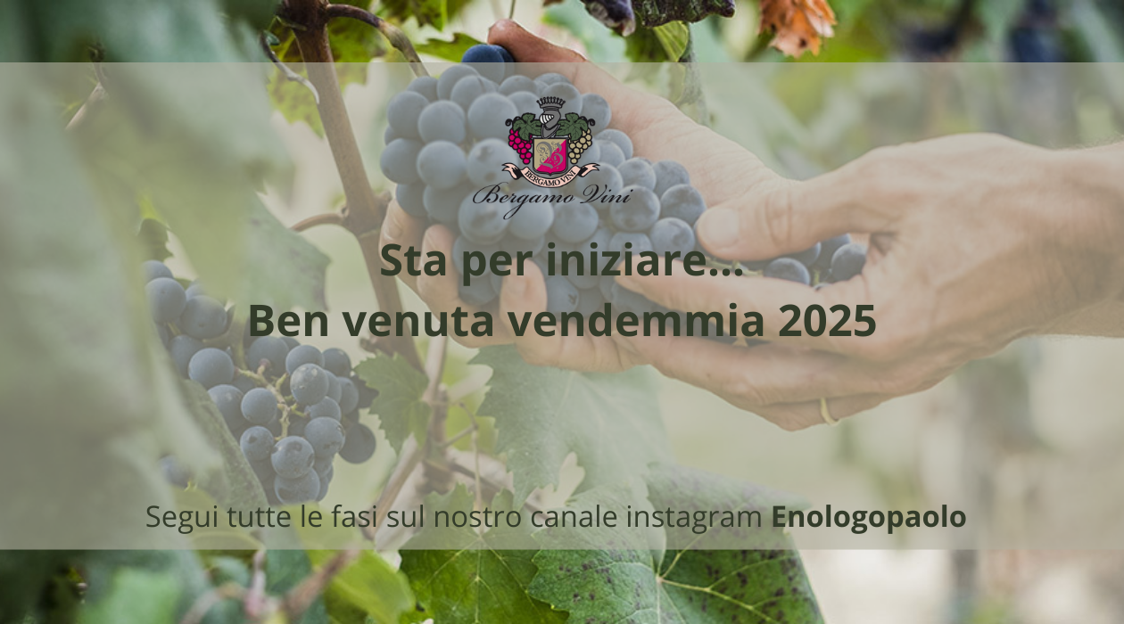 Immagine diapositiva